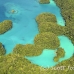 way_milky_h_0027_pal1733.jpg
